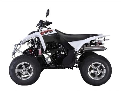 Лот: 25208561. Фото: 1. Квадроцикл RATO RТ250SТ-2. Снегоходы, квадроциклы