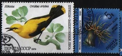 Лот: 7007400. Фото: 1. СССР 1979-91г фауна 2марки. Марки