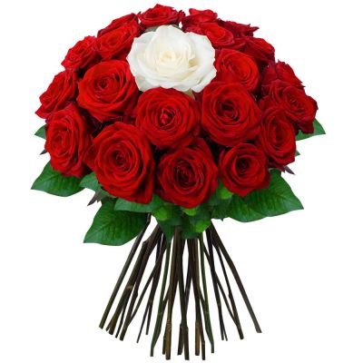 Лот: 6395457. Фото: 1. 33 розы из Голландии - 2640 рублей... Свежие цветы