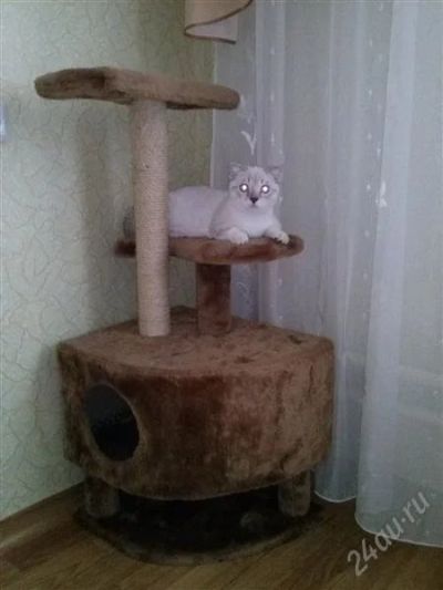 Лот: 2923761. Фото: 1. Кошачий домик с когтеточкой и... Домики, переноски, клетки, когтеточки