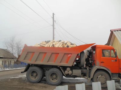 Лот: 5241153. Фото: 1. Дрова березовые,ошкуренные 47-50... Другие (дрова, топливо)