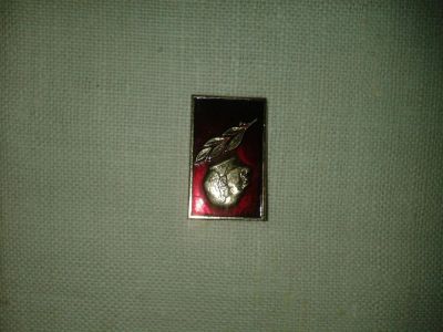 Лот: 7185006. Фото: 1. значок 10. Другое (значки, медали, жетоны)
