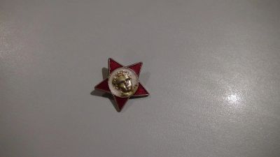 Лот: 3939898. Фото: 1. значок октябрятский. Другое (значки, медали, жетоны)
