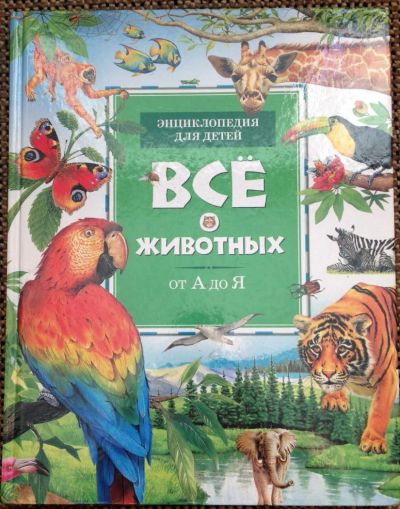 Лот: 4271524. Фото: 1. Энциклопедия для детей. Все о... Познавательная литература