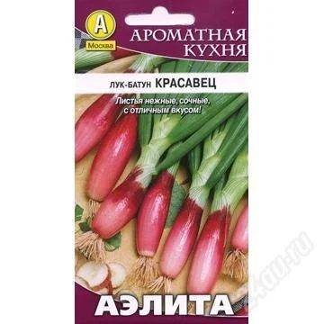 Лот: 2842094. Фото: 1. Лук батун Красавец (семена). Другое (семена, рассада, садовые растения)