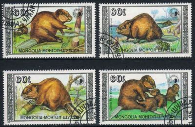 Лот: 18027484. Фото: 1. 1989 . Монголия. Бобры. Полная... Марки