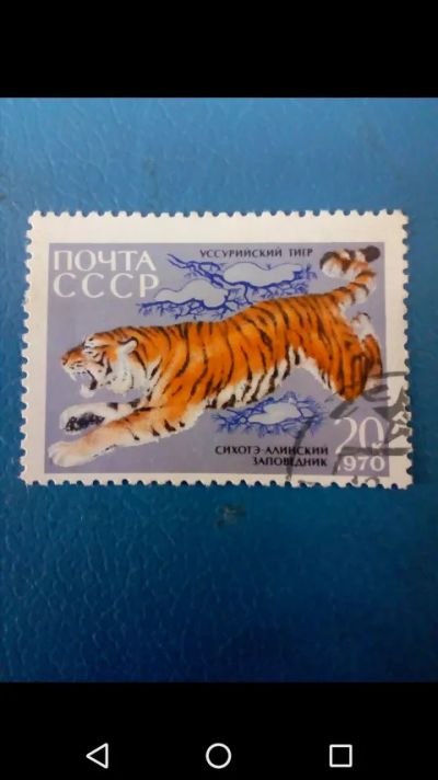 Лот: 20854361. Фото: 1. Фауна. Тигр. СССР 1970 год. Марки