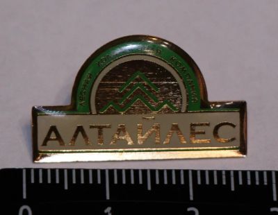 Лот: 11236641. Фото: 1. Тяжелый значок: Алтайлес. Лесная... Сувенирные