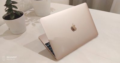 Лот: 15181043. Фото: 1. Macbook 12 2016 rose gold m5 1... Ноутбуки