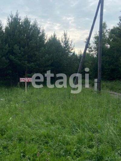 Лот: 25291436. Фото: 1. участок , село Совхоз Сибиряк... Земельные участки