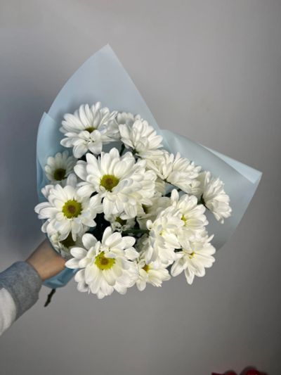 Лот: 24699604. Фото: 1. 1. Букет-комплимент. Свежие цветы