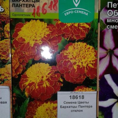 Лот: 9115549. Фото: 1. Семена / Цветы / Бархатцы / Пантера... Садовые цветы