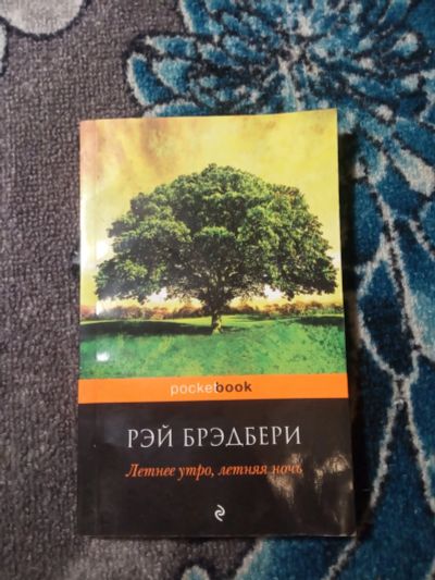 Лот: 21048689. Фото: 1. PocketBook Рэй Брэдбери Летнее... Художественная