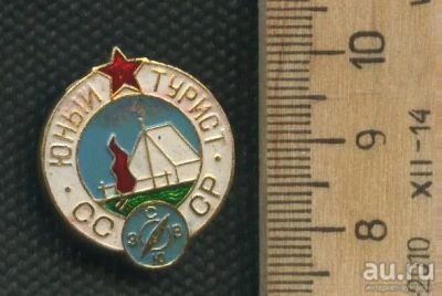 Лот: 17487807. Фото: 1. ( № 8501 ) значки,туризм, Юный... Сувенирные
