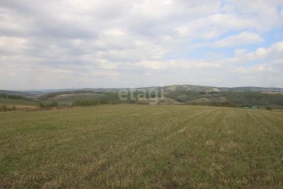 Лот: 25291233. Фото: 1. участок , село Вознесенка село... Земельные участки