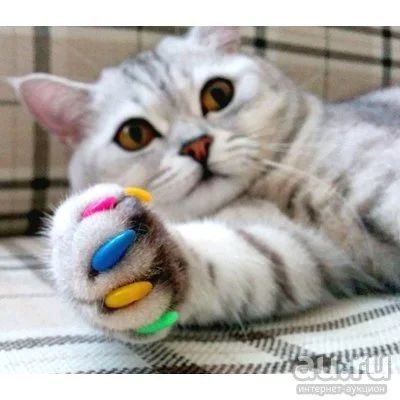 Лот: 10248911. Фото: 1. Антицарапки/накладки для кошек... Игрушки для животных
