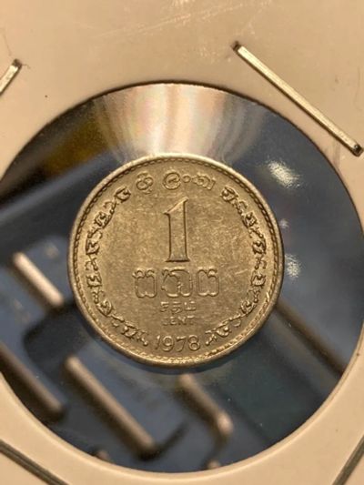 Лот: 19516496. Фото: 1. Шри-Ланка 1 цент, 1978. Азия