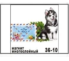 Лот: 10552023. Фото: 1. Магнит Собака хаски с конвертом... Магниты сувенирные