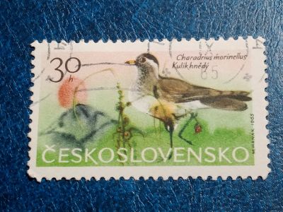 Лот: 25510665. Фото: 1. - Марки для Вашей коллекции. лот... Марки