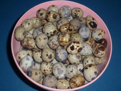 Лот: 4428834. Фото: 1. Яйца перепеленные домашние. Мясо, птица, яйцо