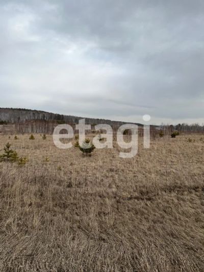 Лот: 25294047. Фото: 1. участок , Енисейский тракт,. продажа. Земельные участки