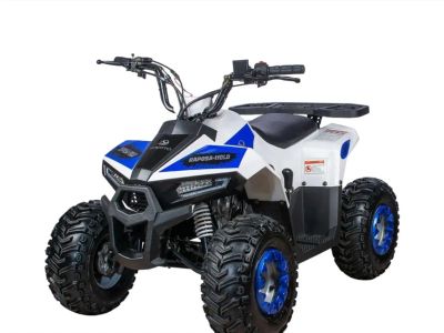 Лот: 25788107. Фото: 1. Квадроцикл YACOTA Raposa Pro Sport. Снегоходы, квадроциклы