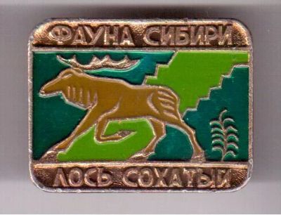 Лот: 8743324. Фото: 1. Знак из серии: Фауны Сибири. Лось... Сувенирные