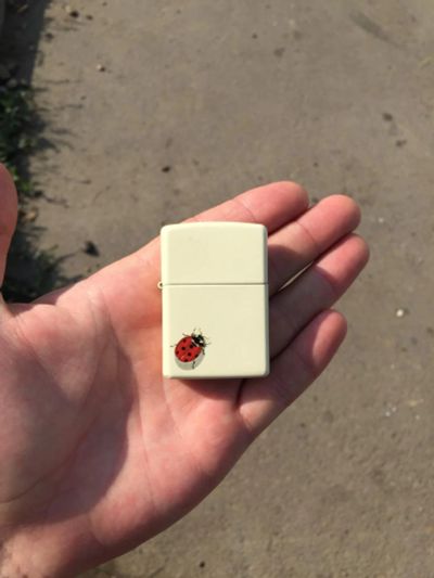 Лот: 7829996. Фото: 1. Зажигалка Zippo. Зажигалки, спички, пепельницы