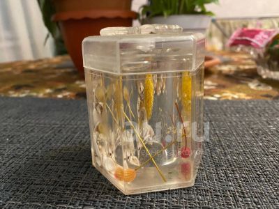 Лот: 20931710. Фото: 1. Контейнер для зубочисток. Контейнеры, банки