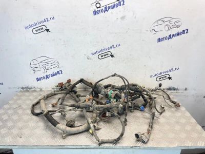 Лот: 25530192. Фото: 1. проводка подкапотная Honda Civic... Двигатель и элементы двигателя