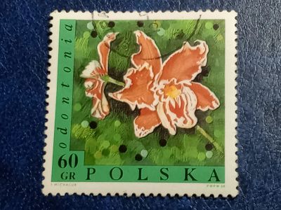 Лот: 25855568. Фото: 1. - Марки для Вашей коллекции. лот... Марки