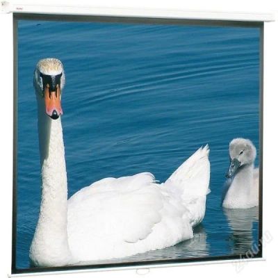 Лот: 1186763. Фото: 1. Экран настенный, GEHA EcoMaster... Проекторы