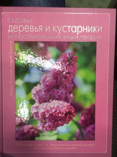 Лот: 20132906. Фото: 1. Васильев, Лысиков "Садовые деревья... Сад, огород, цветы