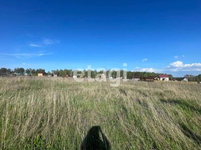 Лот: 25297235. Фото: 1. участок , садовые участки Штаны... Земельные участки