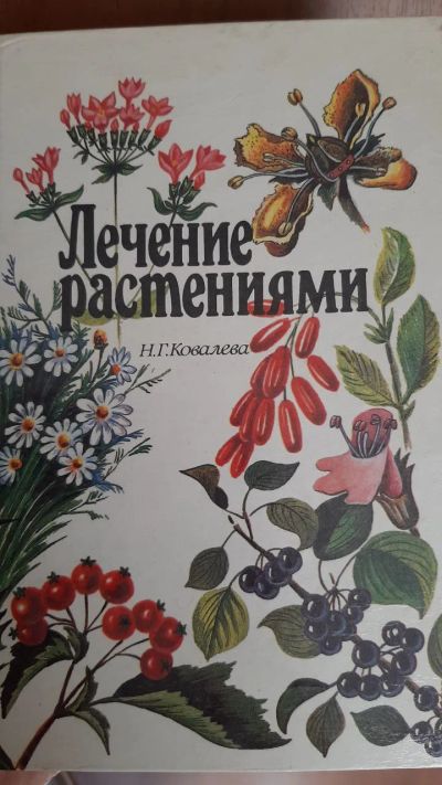 Лот: 23528159. Фото: 1. Лечение растениями. Ковалева. Популярная и народная медицина