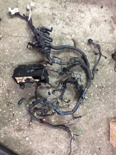 Лот: 21411493. Фото: 1. проводка ДВС Toyota Estima ACR30. Двигатель и элементы двигателя