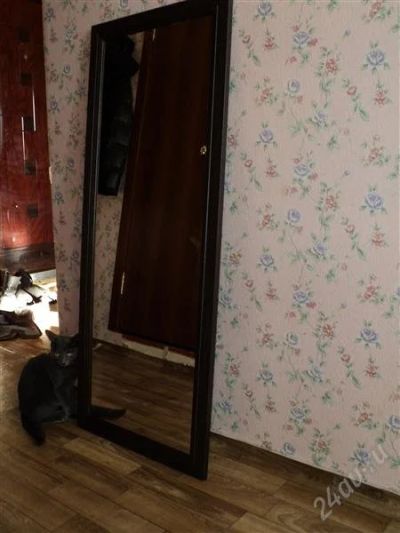 Лот: 869433. Фото: 1. зеркала 500х1225, и 665х880. Другое (мебель)