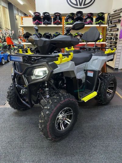 Лот: 24618895. Фото: 1. Квадроцикл Avantis Ray 200 Premium. Снегоходы, квадроциклы