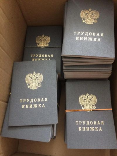 Лот: 9654766. Фото: 1. Трудовая книжка. Другое (коллекционирование, моделизм)