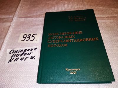 Лот: 15239789. Фото: 1. Моделирование двухфазных суперкавитационных... Физико-математические науки