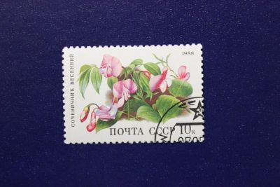 Лот: 6855876. Фото: 1. Почтовая марка №4061 в коллекцию. Марки