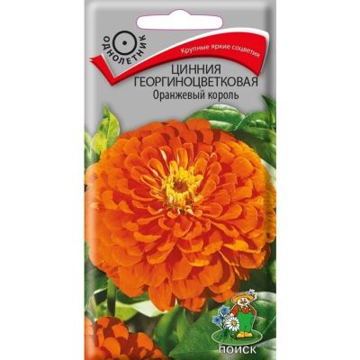 Лот: 24081100. Фото: 1. Семена Цветы, Цинния, Оранжевый... Другое (семена, рассада, садовые растения)