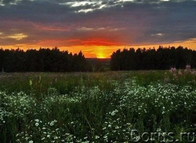 Лот: 8683515. Фото: 1. Учасок ижс 30 соток. Земельные участки