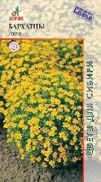 Лот: 11024174. Фото: 1. Бархатцы Лулу тонколистн.0,1г. Садовые цветы