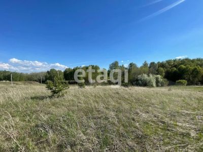 Лот: 25297249. Фото: 1. участок , садовые участки Штаны... Земельные участки