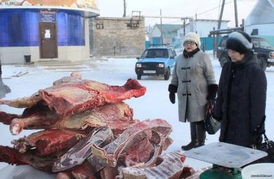 Лот: 12779823. Фото: 1. Оленина свежемороженая. Мясо, птица, яйцо