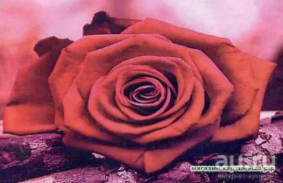 Лот: 14364330. Фото: 1. Алмазная мозаика - Роза. размер... Холсты чистые