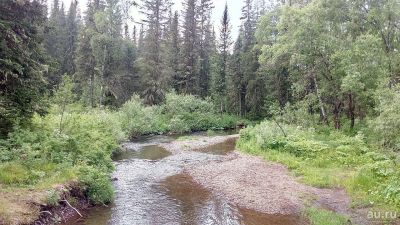 Лот: 7976033. Фото: 1. Земельный участок. Земельные участки