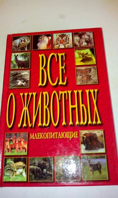 Лот: 18602106. Фото: 1. Энциклопедия"Всё о животных.Млекопитающие... Энциклопедии
