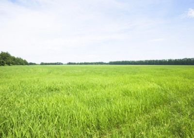 Лот: 9962065. Фото: 1. Продам два участка, 10 и 20 соток... Земельные участки